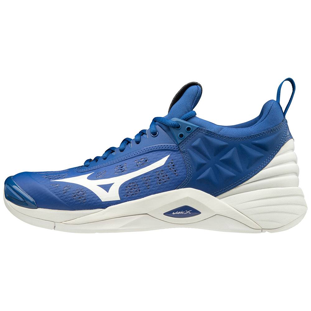 Scarpe Volley Mizuno Wave Momentum Uomo - Blu/Bianche - 73465-INQG